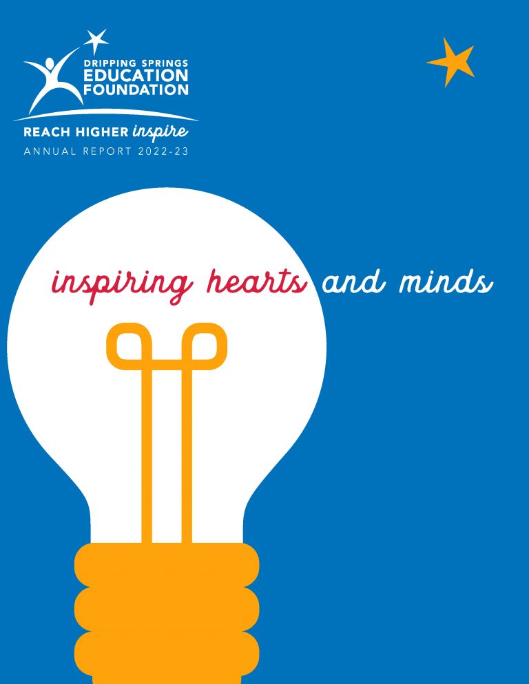 DSEF annual report cover